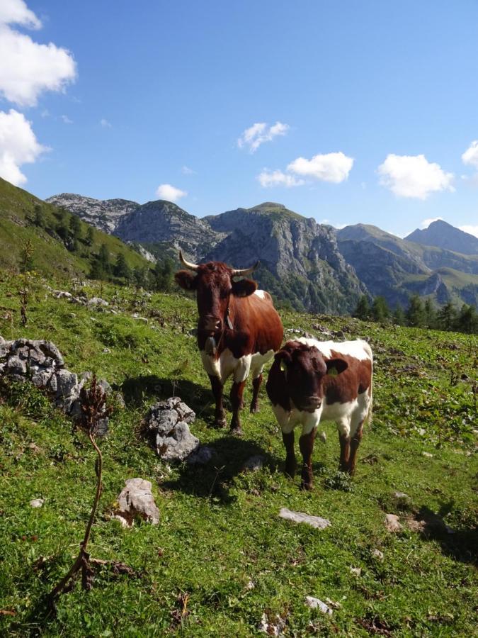 Malterlehen-Berchtesgaden Appartement Buitenkant foto