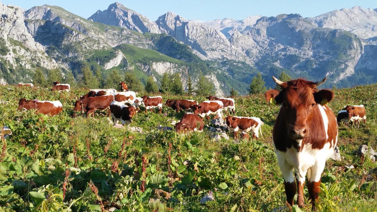 Malterlehen-Berchtesgaden Appartement Buitenkant foto